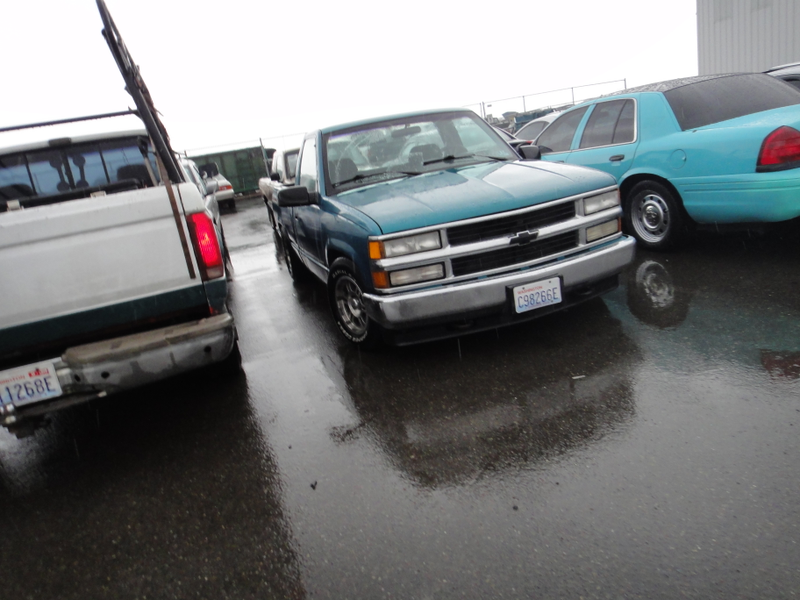Spotted in parking lot.